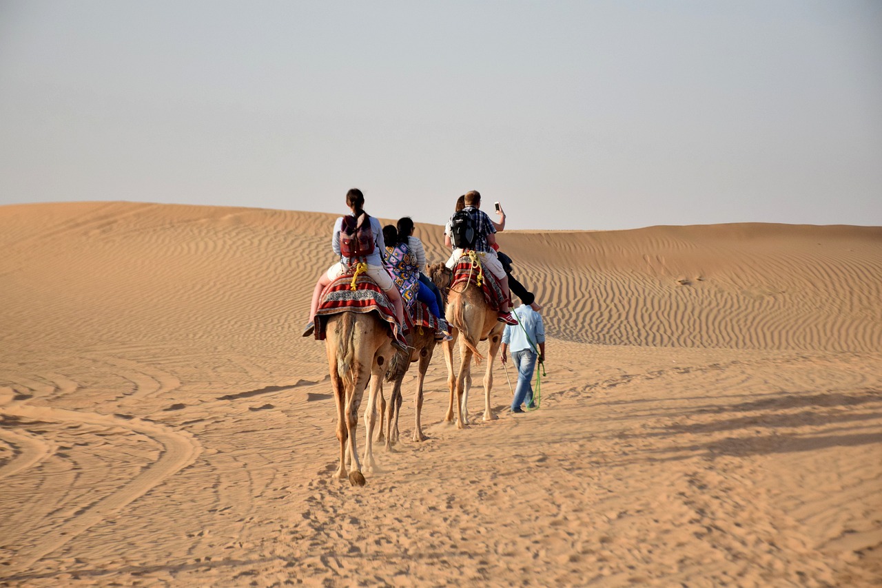 camel ride